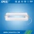Import 220v lamp bulb 40w induction lamp and ballast from China
