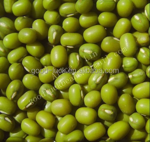 2.7mm+ Green Mung Beans For Sprouting