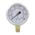 Import 4inch brass connection pressure gauge hydraulic pressure gauge from China