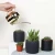 Import 500ML Gold Small Metal Indoor Outdoor Garden Tools Cylinder Plants Watering Can/Pots from China