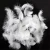 Import 800 power goose down feather with good quality from China