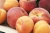 Import Adorable Fresh sweet peaches from South Africa from Austria