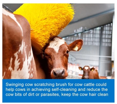 Animal Husbandry Machinery Equipment Matching Cow Brush Cattle Body Massage Automatic Brush