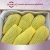 Import apple foam packing net extruder/epe foam fruit net machine from China