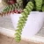 Import Artificial Decorative Plants Echeveria Succulent Plants Tropical Plants from China