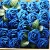 Import Artificial Flowers Blush Roses 25pcs Roses w/Stem for DIY Wedding Bouquets Centerpieces Arrangements from China