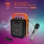 Import Attractive Price New Type Outdoor Portable Wireless Audio Speaker 2021 from China