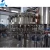 Import Automatic New Design Soda Water Filling Machine from China