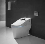 Automatic Open-close Sensor Integrated Smart Spray Toilet ZJS-02B