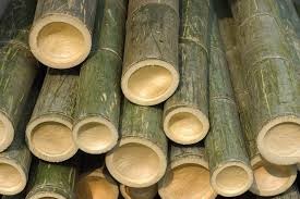 Bamboo Raw Materials