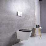 Bathroom Ceramic Matt Black Rimless Wall Hung Toilet Back To Wall UF Seat Cover Bidet Attachment Toilet European