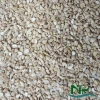 BB cashew nut from Vietnam - New Crop - Good Quality