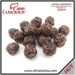 Beef and Rice Ball Dog Food