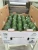Import Best Quality Fresh Tasty Avocado Grade A - Wholesale/Bulk from USA