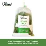 Best Seller Fresh Sea Grapes - Umibudo for Sashimi Made In Vietnam