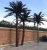 Import Big artificial outdoor plants UV resistant artificial palm trees from China