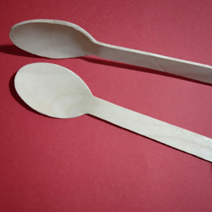 biodegradable disposable bamboo spoons