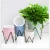 Import Biodegradable self watering plastic wholesale flower plants pots witch Iron frame from China