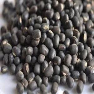 Black Urad Beans / Urad Vigna Beans