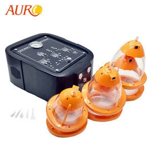 Breast and Buttock Lift Vacuum Cupping Therapy Machine Au-7002 For Beauty Breast Care Products