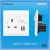 Import British Standard 13A 2 gang wall switched socket+(1A+2.1A) USB outlet, USB socket with total current 3.1AMP from China