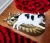 Import Brown Cute Sleeping Cat Shaped Mat Bedroom Area Rug, Christmas Tabby Cat carpet from China