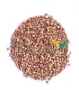 Buckwheat roasted - Fagopyrum