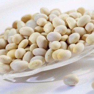 BUTTER BEANS RAW PULSES LIMA BEANS COW PEAS