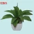 Import Cactus artificial artificial ornamental plants from China