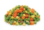 Canned Mixed Vegetables New Crop High Quality