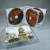 Import CD Replication Duplication In Multi-Disc Jewel Case from China