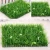 Import Cheersee Photography matching plastic vertical outdoor high quality green mat panel decor artificial plant wall for hotel from China