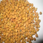 Chickpeas From France Style Origin Type Size Product Fresh Place Model Group Cultivation