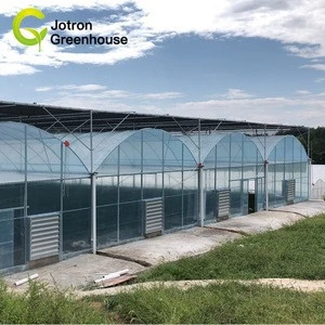 China Cheap Film Cover Multi Span Greenhouse Invernadero For Agricultural
