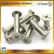 China Slotted Binding Screw, Chicago Screw, Female and Male Screw