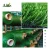 Import China synthetic soccer holland turf & sports flooring pitch mat FIFA football artificial grass for football playground fields from China