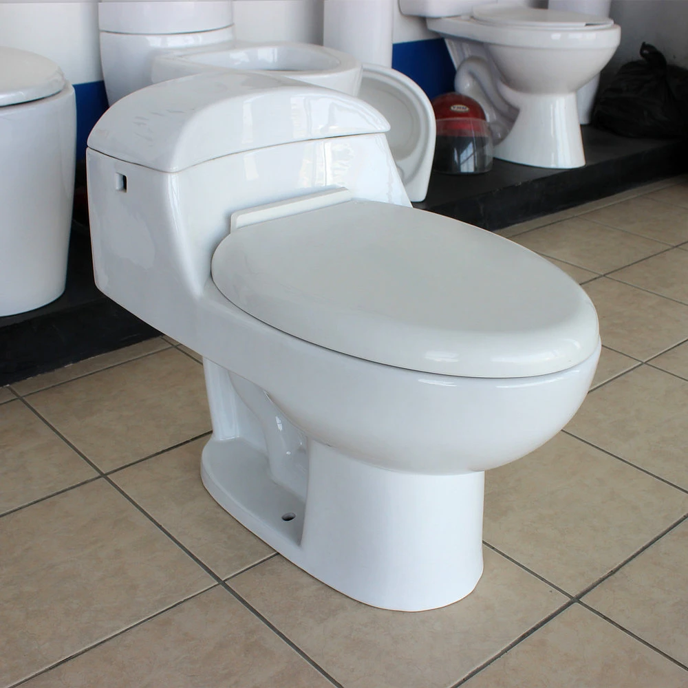 Chinaware bathroom one piece ceramic siphonic hydraulic toilet seat