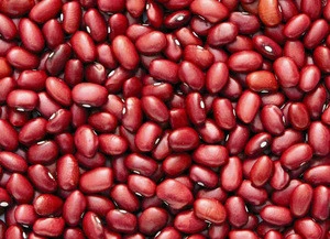 chines dark red kidney bean