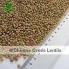 Chinese Lentils 2016crop top quality