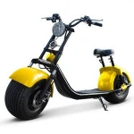 city scooter 1000W long range Electric Scooter, Electric motorcycle