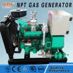 coal gas power plant