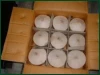Coconut from vietnam/ Fresh young coconut with best price/ high quality and premium