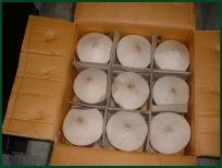 Coconut from vietnam/ Fresh young coconut with best price/ high quality and premium