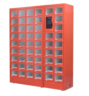 Compact Designed Storage Locker