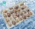 Import cooking frozen baby clam meat  shellfish from China