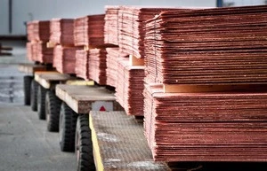 Copper Cathode wholesale - Best Price