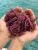 Import COTTONII SEAWEED/DRIED  PURPLE SEAMOSS WITH GOOD PRICE from China