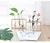 Import Crystal Glass Test Tube Vase in Wooden Stand Flower Pots for Hydroponic Plants Home Garden Decoration from China
