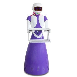 Custom Make Human Robot Size Plastic Oem Designing Waiter Robot For Restaurant/Hotel/Supermarket