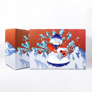 Customized Present Paper Packaging Gift Boxes paper boxes